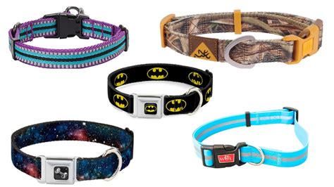 coolest dog collars ever.